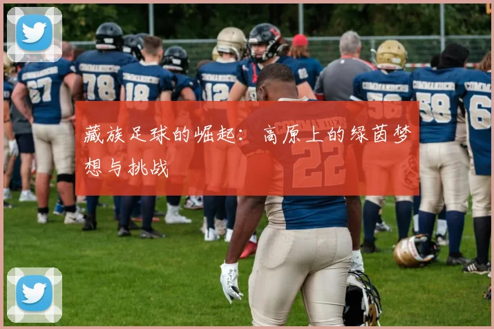藏族足球的崛起：高原上的绿茵梦想与挑战