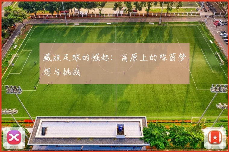 藏族足球的崛起：高原上的绿茵梦想与挑战