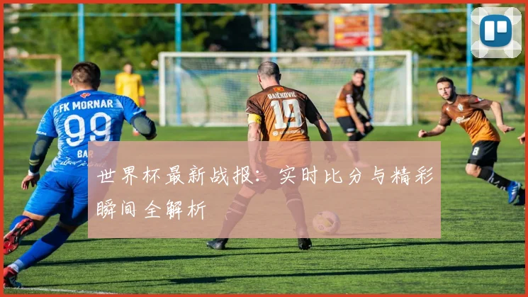 世界杯最新战报：实时比分与精彩瞬间全解析