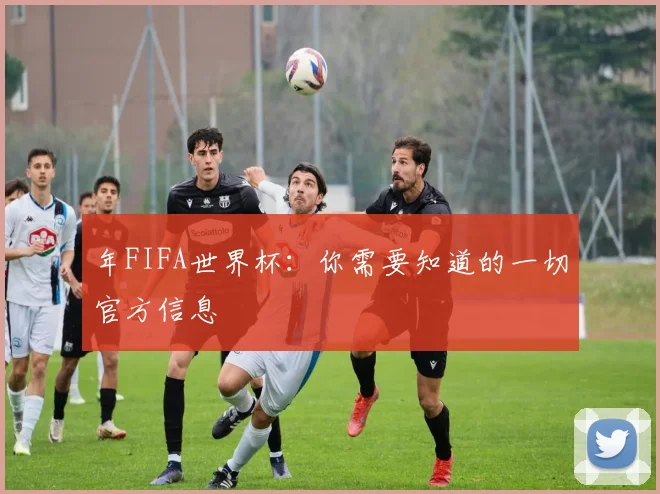 年FIFA世界杯：你需要知道的一切官方信息