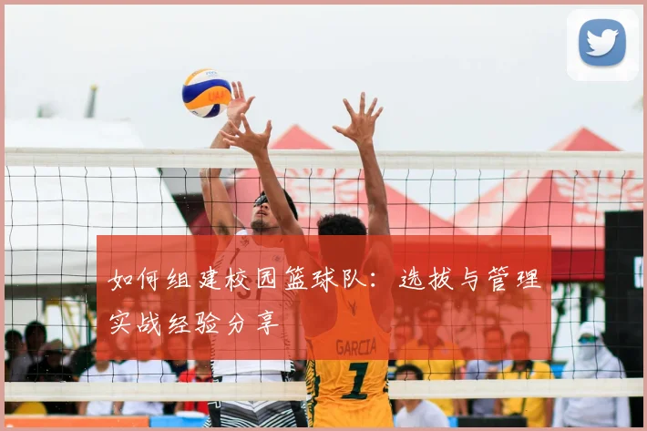 如何组建校园篮球队：选拔与管理实战经验分享